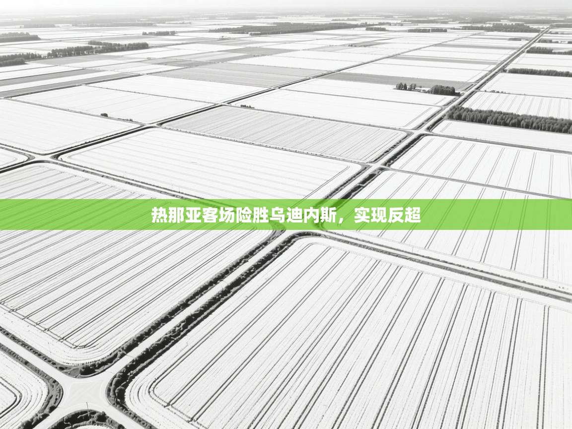 热那亚客场险胜乌迪内斯，实现反超  第1张